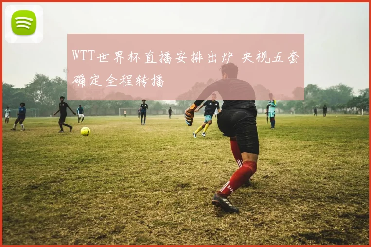 WTT世界杯直播安排出炉 央视五套确定全程转播