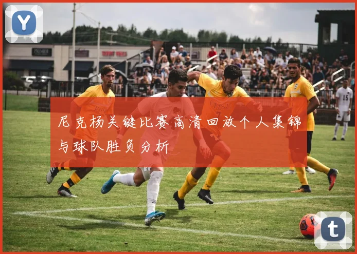 尼克杨关键比赛高清回放个人集锦与球队胜负分析