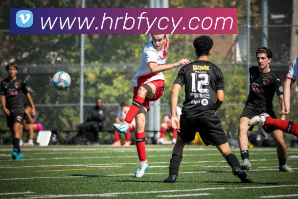 华体官网登录入口手机版品牌故事