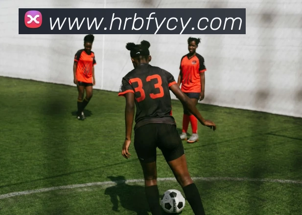 华体官网登录入口手机版服务体系