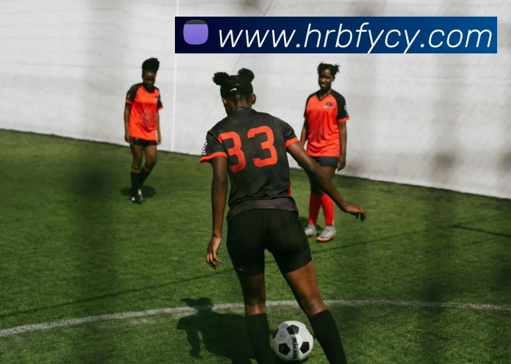 多媒体互动体验