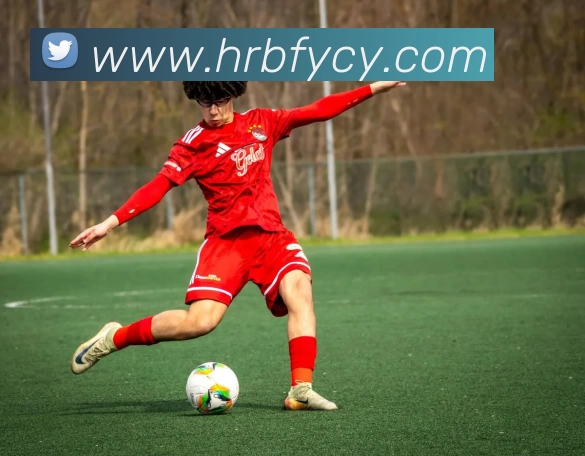 华体官网登录入口手机版APP 体育赛事宣传图